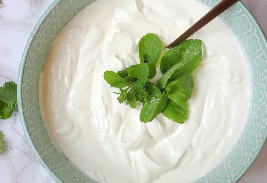 Gut Health Basics: How Your Digestive System Shapes Your Health